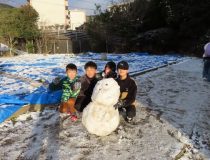添付画像