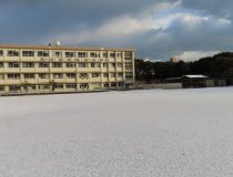 添付画像