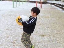 添付画像