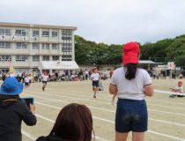 添付画像