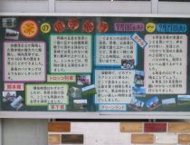 添付画像