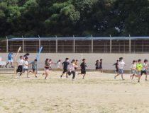 添付画像
